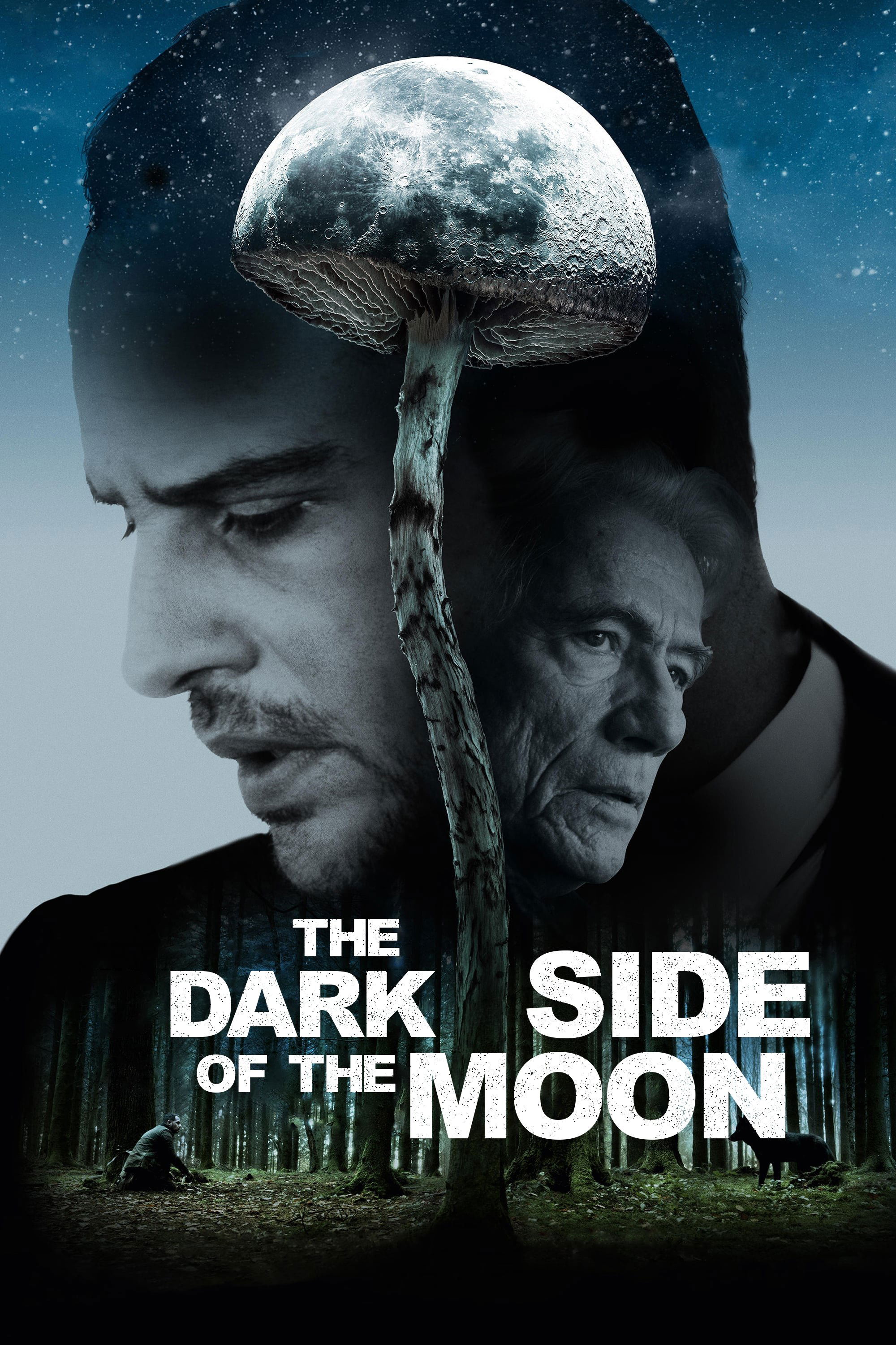 Постер Die dunkle Seite des Mondes
